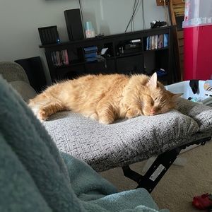 Meet your Posher, Catherine